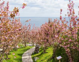 «Мрия» курорт (бывш. MRIYA RESORT&SPA)