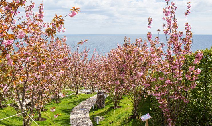 «Мрия» курорт (бывш. MRIYA RESORT&SPA)